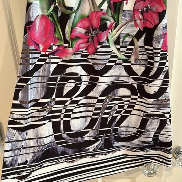 Clover canyon rose stripe dress - Picture 4 of 8